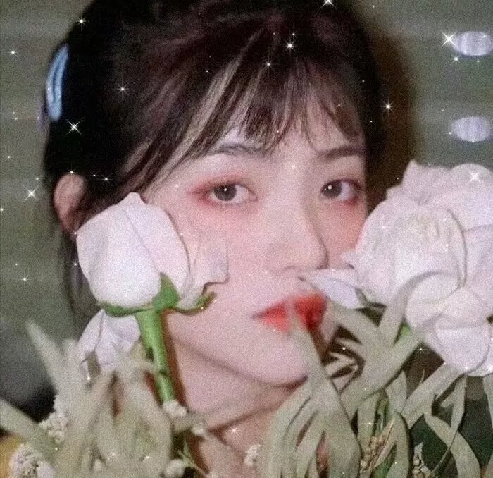 希德尼娅的骑士